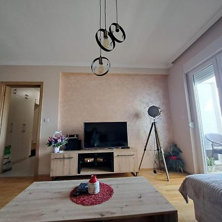 Vucetic Apartment- Podgorica Esterno foto